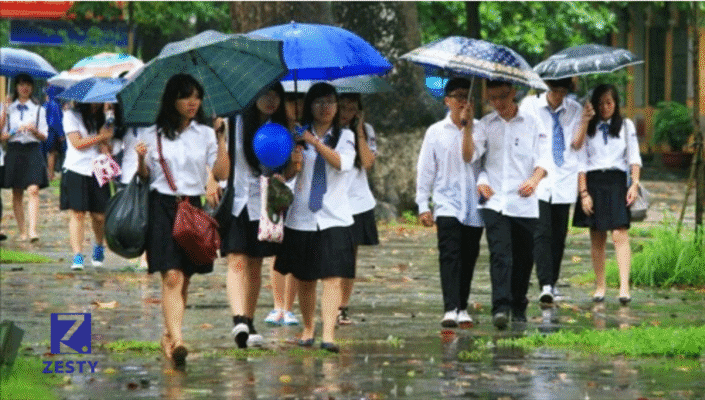 Mang Dép Gì Đi Học