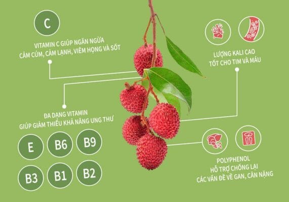 1 quả vải bao nhiêu calo? Giá trị dinh dưỡng trong 1 quả vải